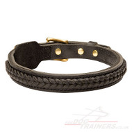 1 inch Dog Collar | Braided Dog Collar Strong and Stylish Design