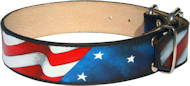 Unique Handpainted dog collar "American pride" Unique Handpainted dog collar "American pride"