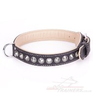 "Cone" Extravagant Black Leather Dog Collar With Studs