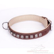 Adorable Brown Leather Studded Dog Collar "Cube" Padded With Leather Lining