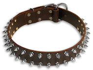 Leather dog collar with 2 rows spikes Leather dog collar with 2 rows spikes