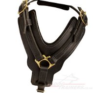 Soft Padded Leather Dog Harness Bestseller for Large Dogs