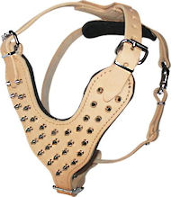 Tan leather walking dog harnesses with spikes Tan leather walking dog harnesses with spikes