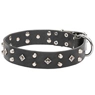 Attractive Designer Dog Collar Leather with Studded Style