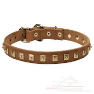 Dog Collars with Studs, 1 inch wide leather