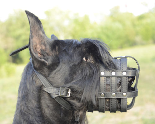 The Best Dog Muzzle Leather Basket
