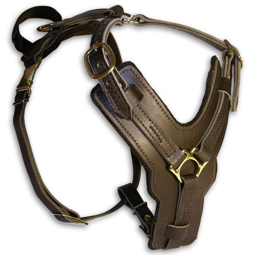 Luxury leather dog harness