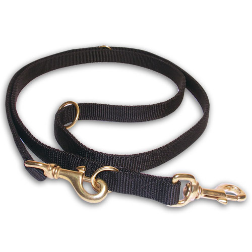 nylon dog lead for tracking