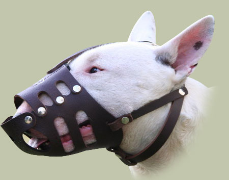 Muzzle for dog M11