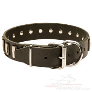 Trendy Dog Collar With Plates for Large Dogs UK Bestseller