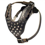Perfect Studded Walking Dog Leather Harness UK with Pyramids Perfect Studded Walking Dog Leather Harness UK with Pyramids