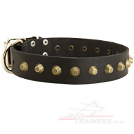 Strong Wide Dog Collar for Dog Style with Brass Pyramids