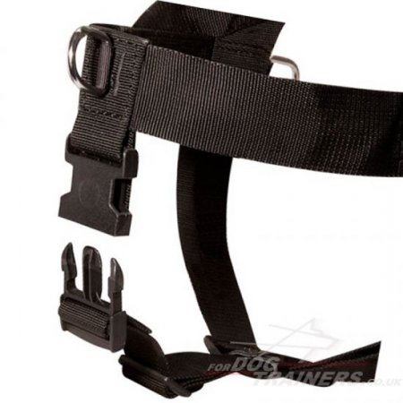 Giant and Miniature Schnauzer Dog Harness No Pull UK Best Seller