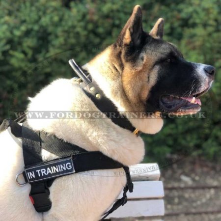 Japanese Akita Dog Harness UK Bestseller to Stop Dog Pulling