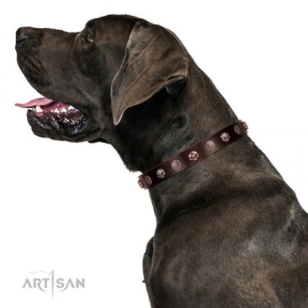 Adorned Brown Leather Dog Collar With ID Plate For Daily Walking