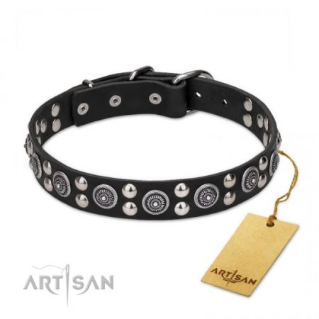 Best Quality Leather Dog Collar With Silver-Like Studs FDT Artisan