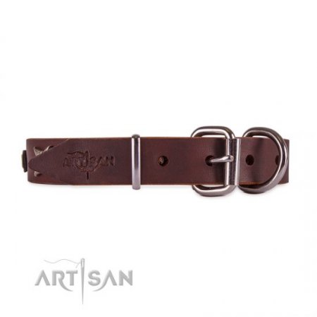 Advanced! Brown Leather Collar For Dog FDT Artisan Fashionable Design