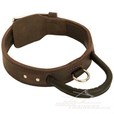 Husky Dog Collar with Control Handle