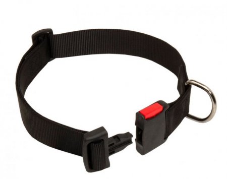 Nylon Quick Release Dog Collar for Husky