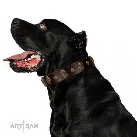 "Breaking the Horizon" Gorgeous Brown Leather Dog Collar FDT Artisan