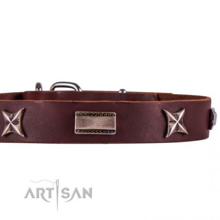 Advanced! Brown Leather Collar For Dog FDT Artisan Fashionable Design