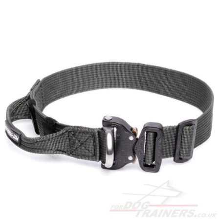 Heavy Duty Dog Collar with Handle for K9 Dogs with Cobra Buckle