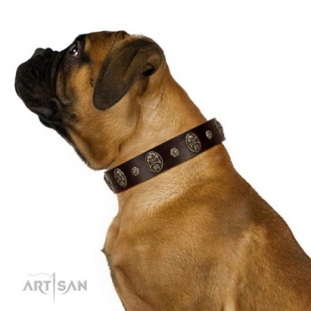 "Breaking the Horizon" Gorgeous Brown Leather Dog Collar FDT Artisan