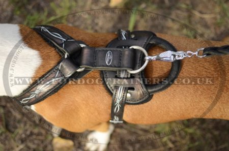 The Best Harness for a Staffordshire Bull Terrier Hand Painted Design Barbed Wire