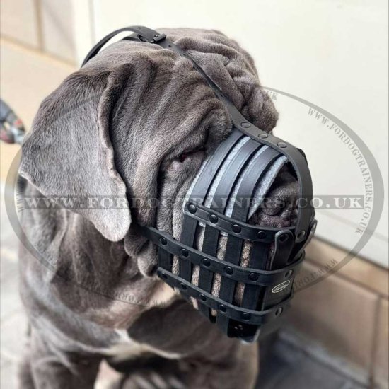 XL Dog Muzzle Leather Basket Bullmastiff Cane Corso English Mastiff Breeds  Sizes