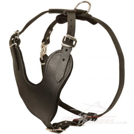 V-Neck American Bulldog Leather Harness for Dog Walking & Training