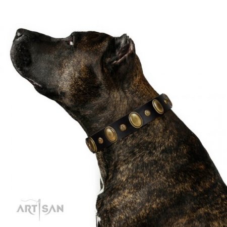 "Fashion Hymn" Nice Black Leather Collar For Dog With Studs FDT Artisan