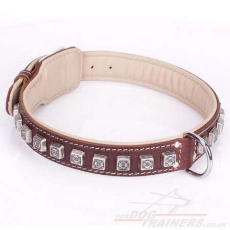 Adorable Brown Leather Studded Dog Collar "Cube" Padded With Leather Lining