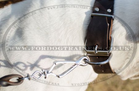 "Loving Heart" Exclusive Leather Dog Collar For American Bulldog