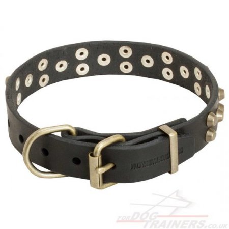 Siberian Husky Dog Collar with Brass Buckle and Studs