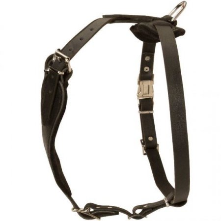 Strong Labrador Retriever Dog Harness