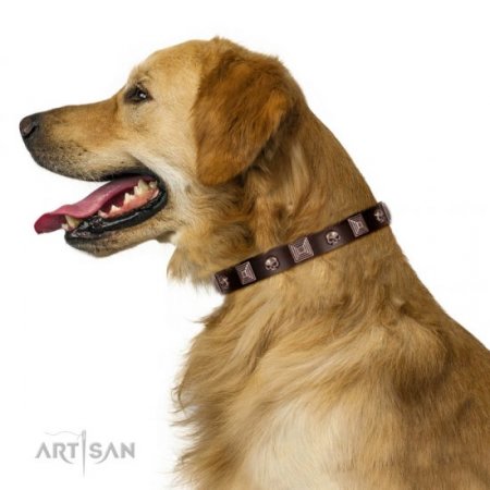 Brown Studded Dog Collar | Leather Dog Collar Metal Buckle FDT Artisan