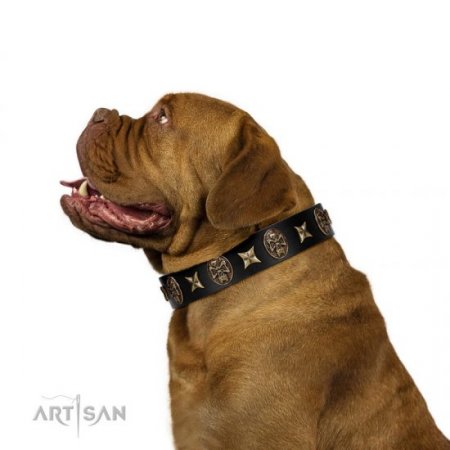 "Starry Saga" Beautiful Black Real Leather Dog Collar FDT Artisan