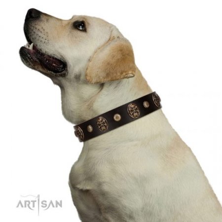 "Snazzy Paws" Elegant Brown Leather Dog Collar With Skulls FDT Artisan