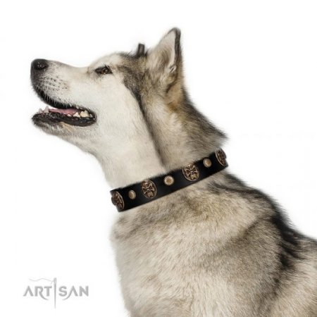 Extravagant Black Leather Dog Collar with Skulls FDT Artisan