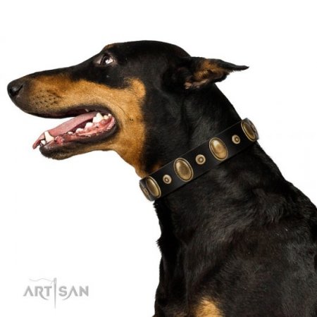 "Venerable Pawty" Black Real Leather Dog Collar With Brass Studs FDT Artisan