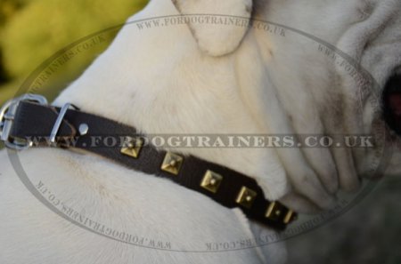 "Treasures Of Pyramids" Studded Leather Dog Collar For American Bulldog