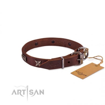 Advanced! Brown Leather Collar For Dog FDT Artisan Fashionable Design