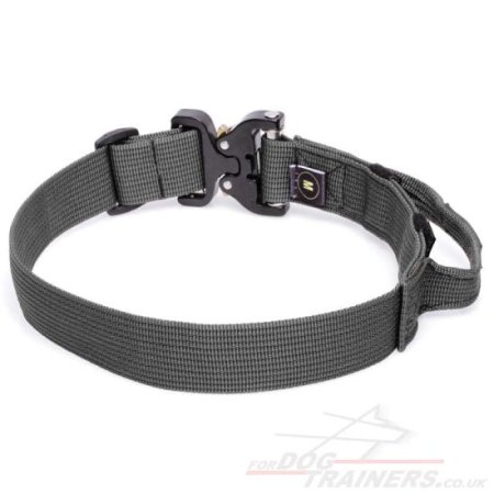 Heavy Duty Dog Collar with Handle for K9 Dogs with Cobra Buckle