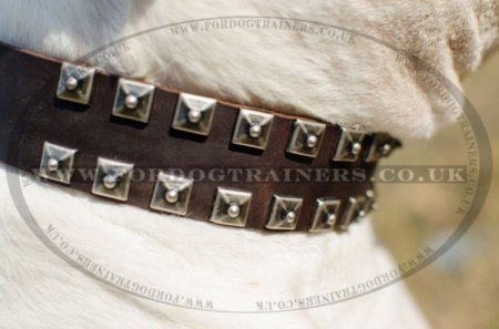"Loving Heart" Exclusive Leather Dog Collar For American Bulldog