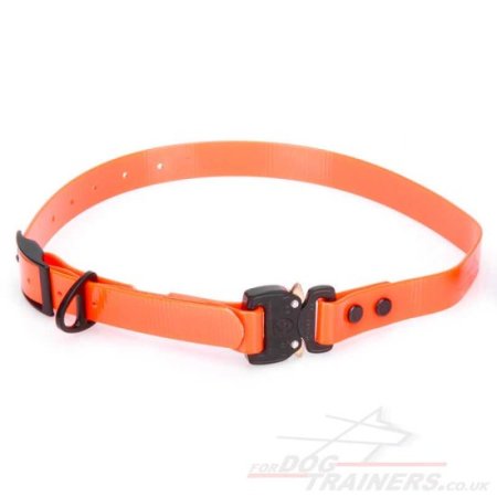 Biothane Dog Collar 0.8 inch Wide in Bright Blue or Orange