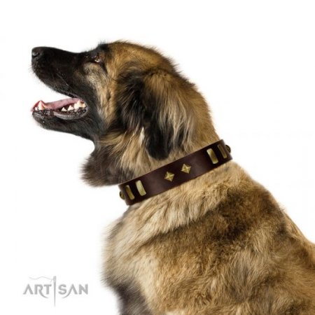 "Blinking Illusion" Extraordinary Brown Leather Dog Collar With Shiny Studs FDT Artisan