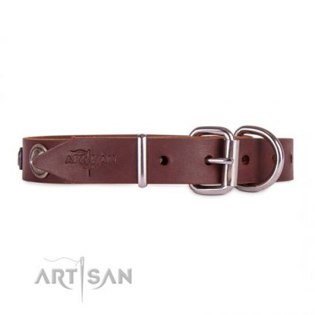 Pretty Brown Dog Collar For Dog’s Safe Walking FDT Artisan