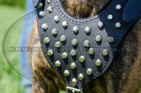 Boxer Dog Leather Harness Padded & Adorned with Pyraminds Hand Made