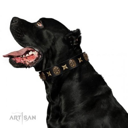 "Starry Saga" Beautiful Black Real Leather Dog Collar FDT Artisan