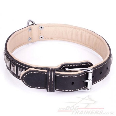 Ultramodern Black Real Leather Dog Collar Engraved With Shiny Studs